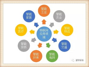 我國物聯(lián)網(wǎng)產(chǎn)業(yè)歷程及主要細(xì)分市場發(fā)展概述