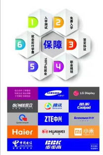 深圳專業(yè)Java軟件開發(fā)培訓(xùn) 開啟編程職業(yè)之路